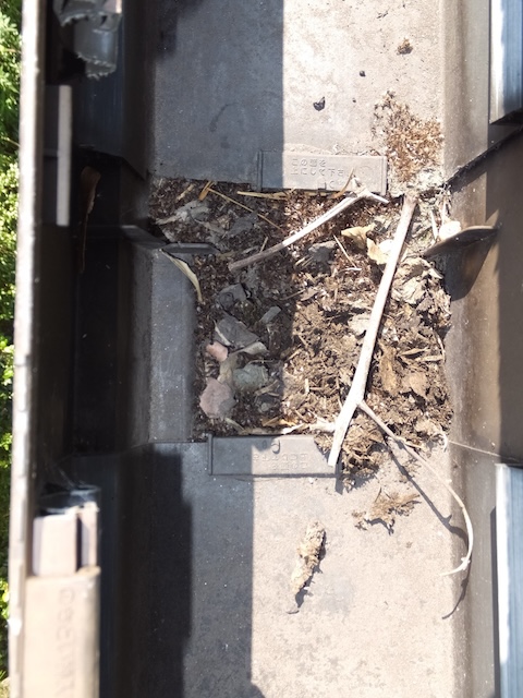 ゴミがたまった雨樋